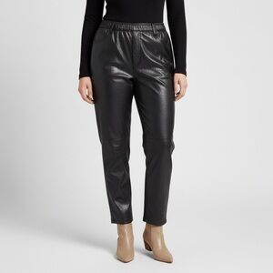 Abercrombie and Fitch Curve Love Vegan Leather Pants 22